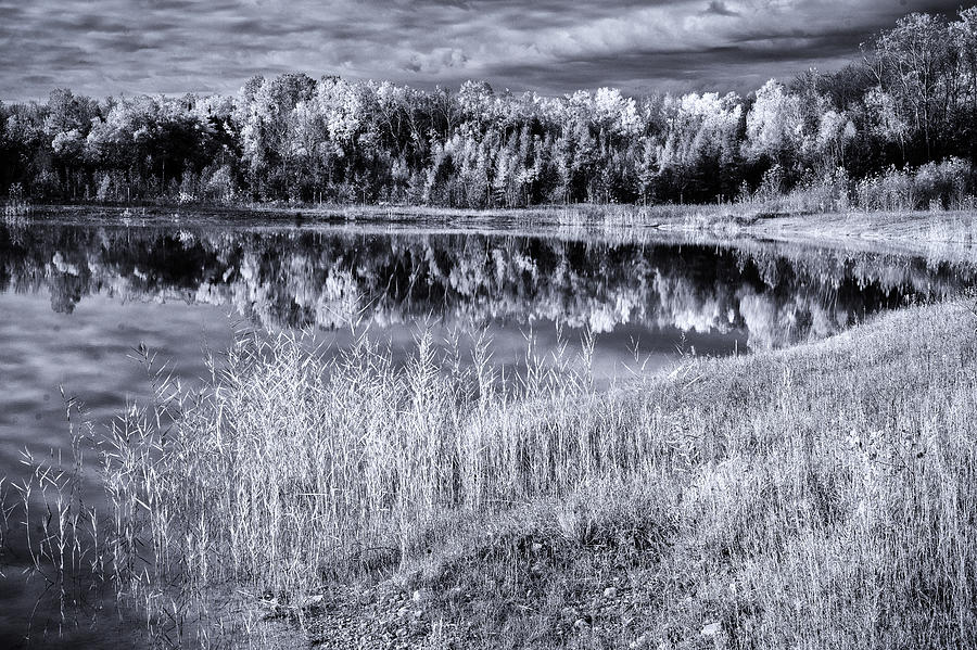 Black and White Pond Photograph by David Heilman