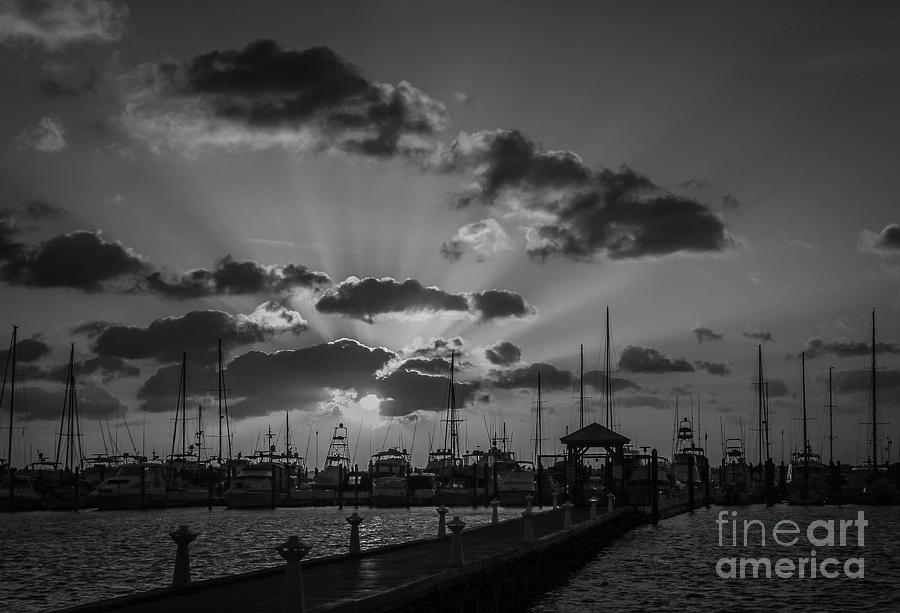 Black and White Rays Photograph by Tom Claud