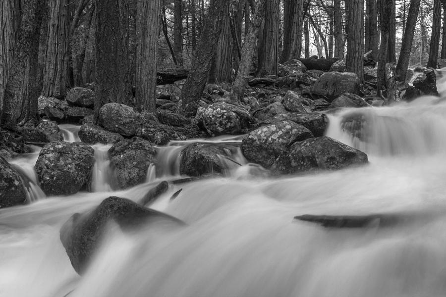 Black and White River Photograph by John McGraw