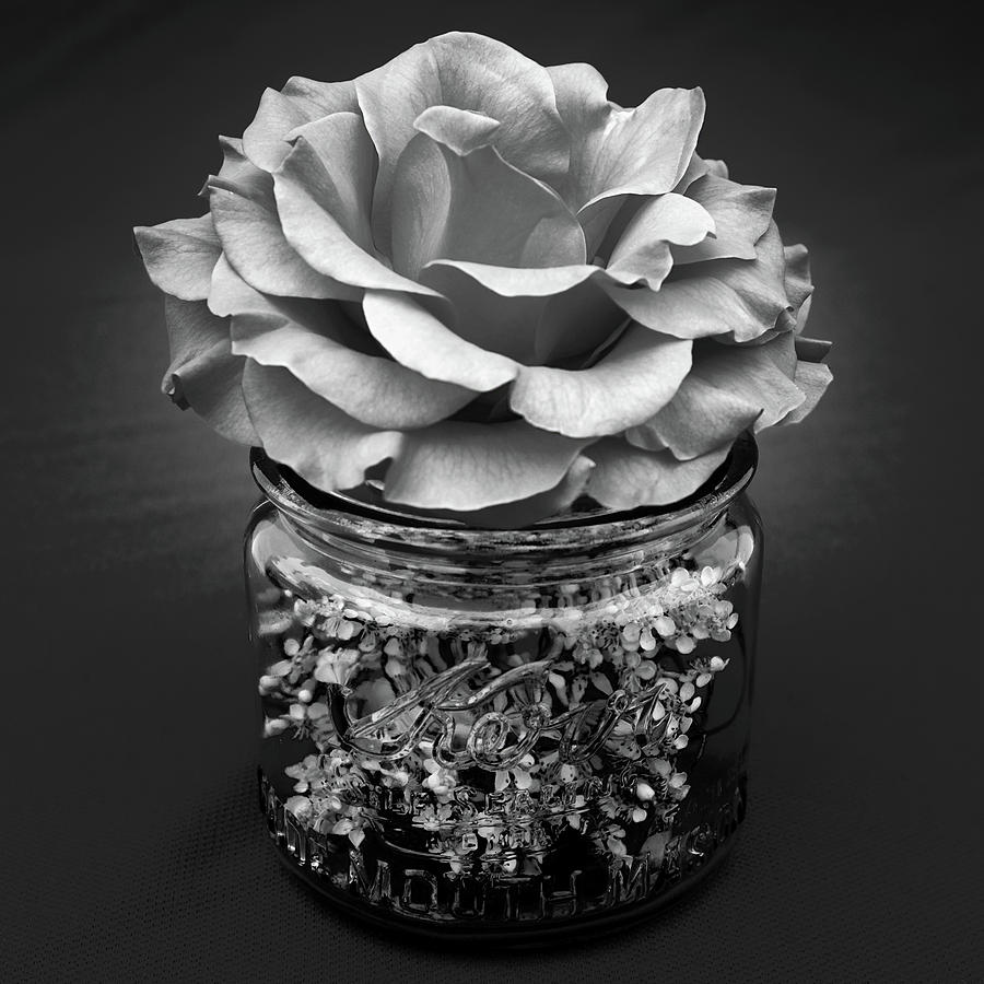 Black and White Rose Antique Mason Jar 2 Photograph by Kathy Anselmo