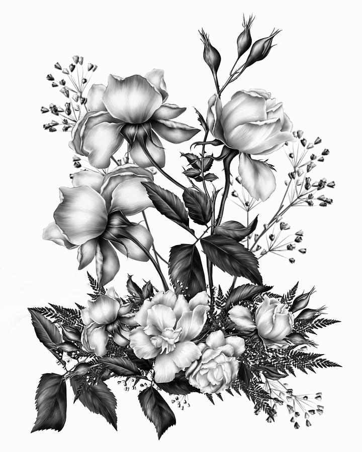 Rose Digital Art - Black and White Roses On White by Georgiana Romanovna