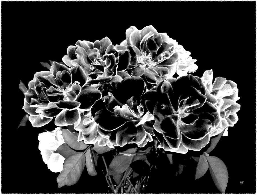 Black And White Roses Digital Art by Will Borden