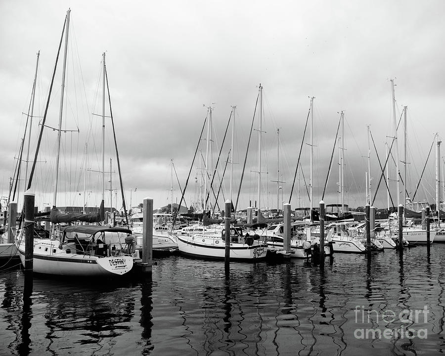 Black And White Sailboats Photograph