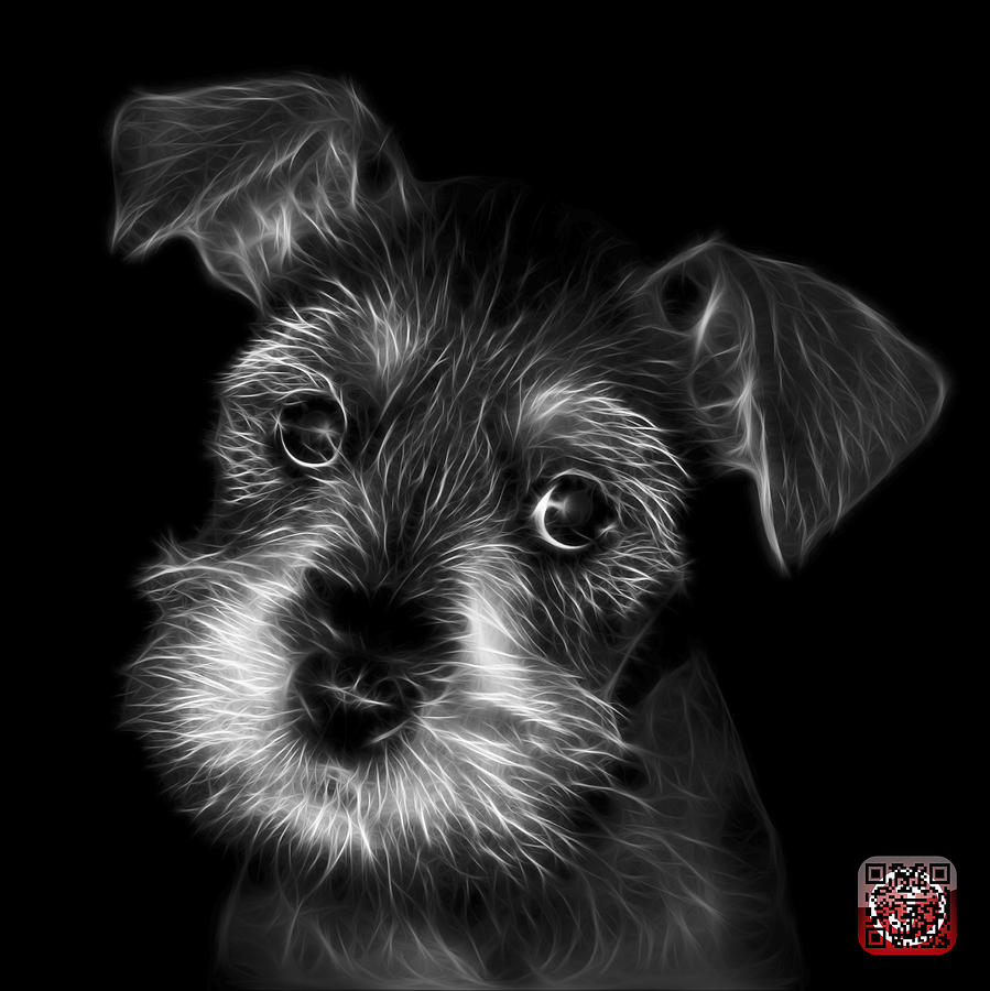 Black and White Salt and Pepper Schnauzer Puppy 7206 F Digital Art by James Ahn