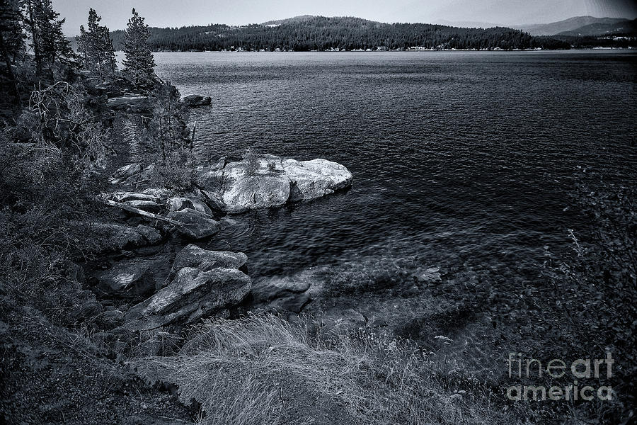 Black and White Shore Photograph by Matthew Nelson
