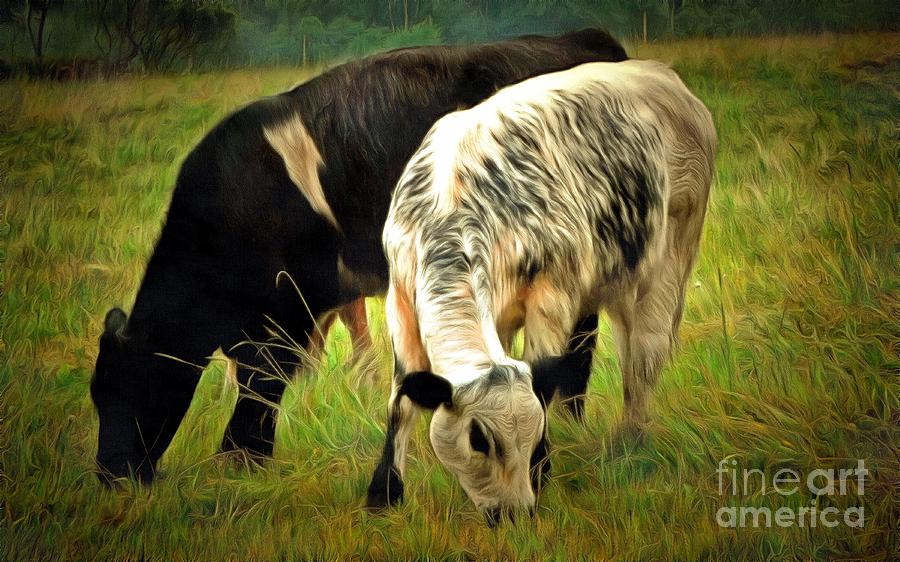 Black and White Speckled Cows - Cows in Pasture Photograph by Janine Riley