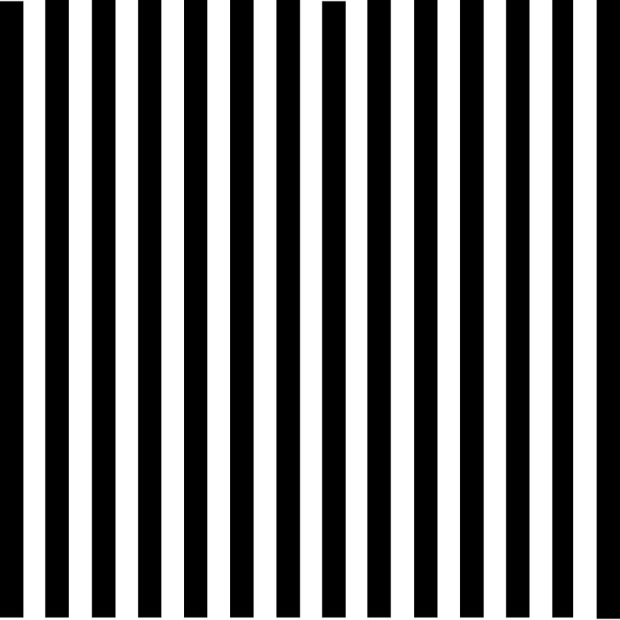 Black and White Stripes Digital Art by Delynn Addams