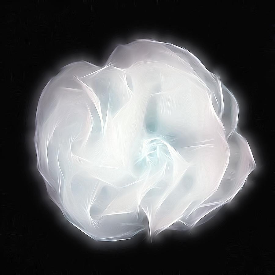 Black And White Digital Art - Black and white by Susanna Shaposhnikova Black And White Digital Art - Black and white by Susanna Shaposhnikova