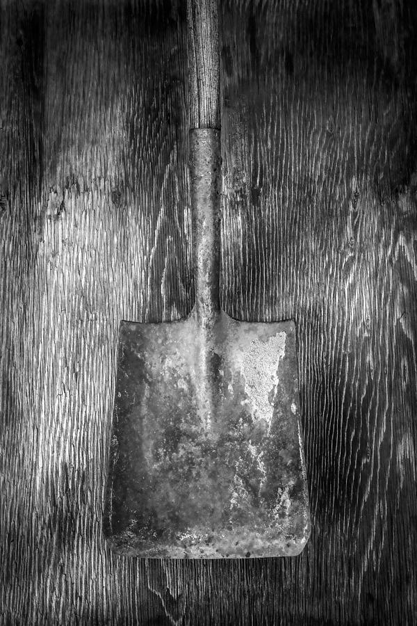 Square Point Shovel 1 Photograph by YoPedro