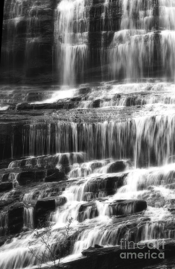 Black and White Waterfall Photograph by Jill Lang