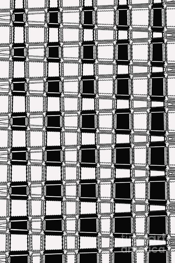 Black and White Weave Digital Art by Nina Silver
