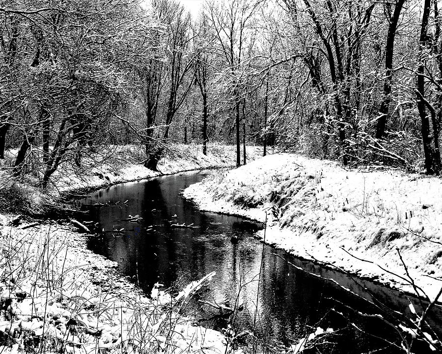 Black And White Winter Photograph