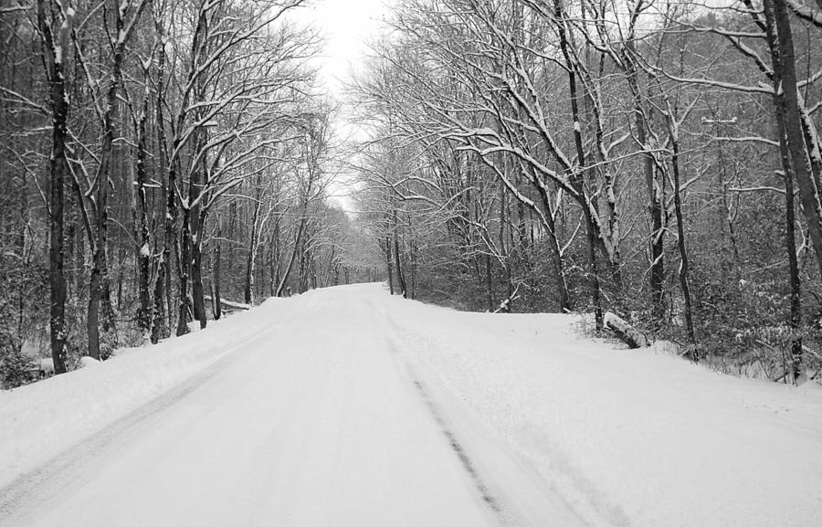 Black and White Winter Photograph by Pat Turner - Fine Art America