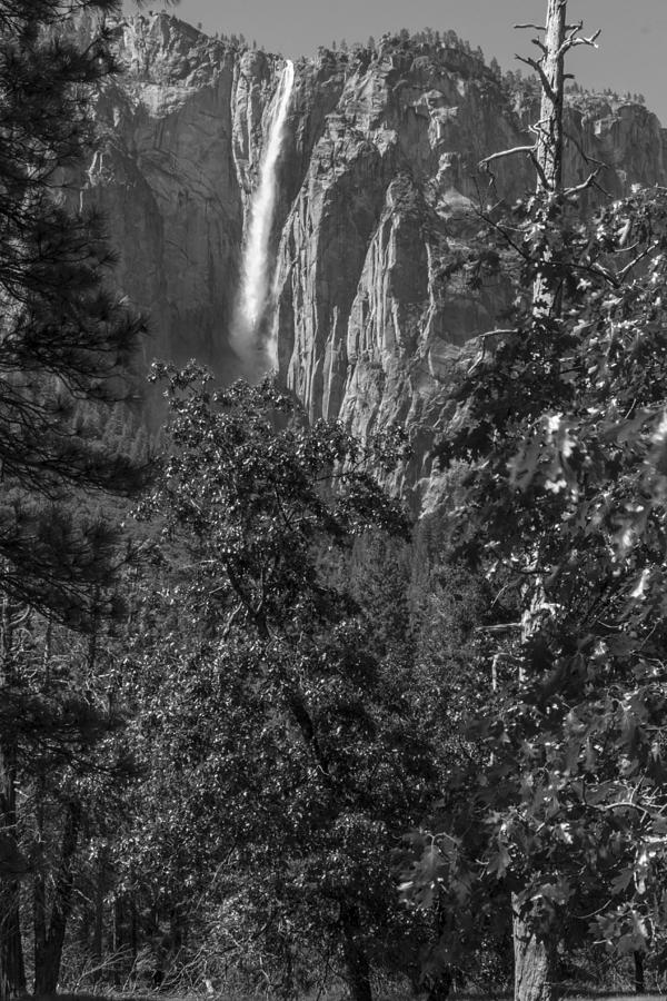 Black and White Yosemite Waterfall  Photograph by John McGraw