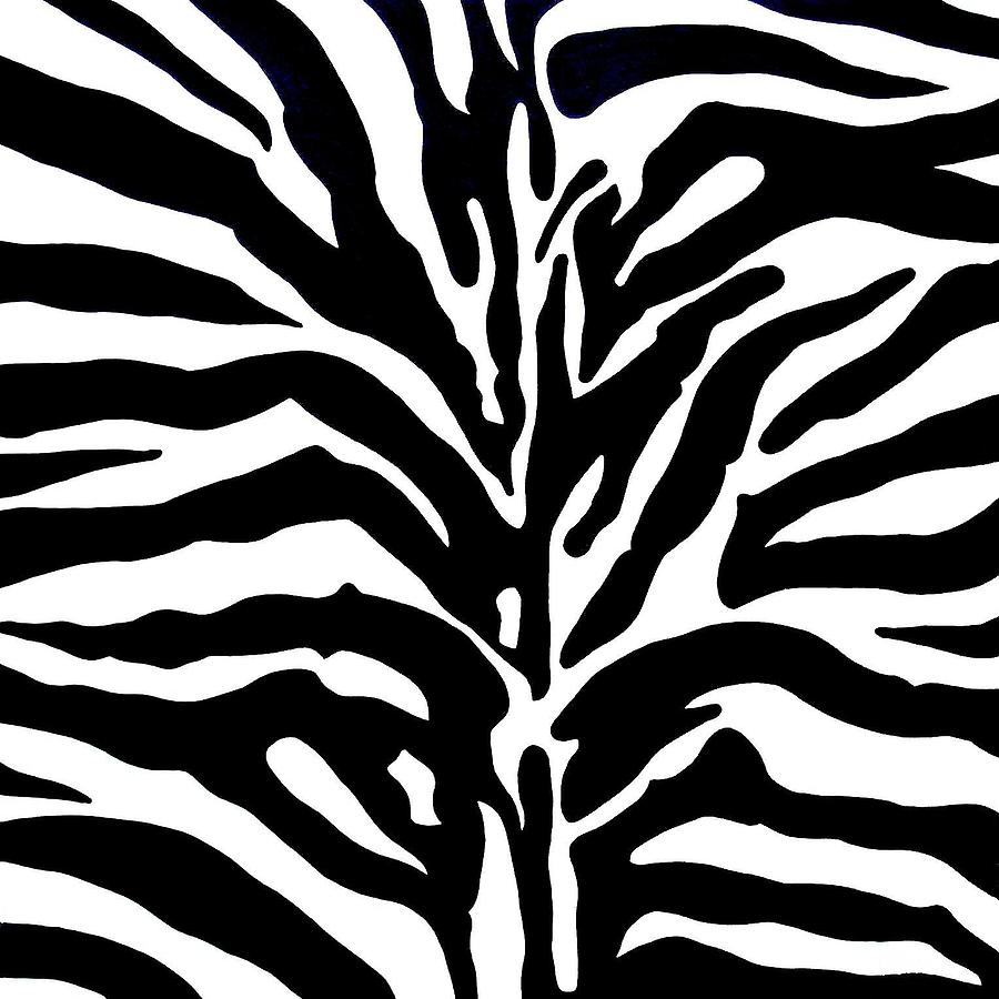 Black And White Zebra  Painting by Doug Powell
