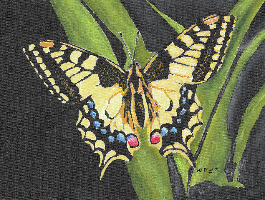 Black and Yellow Butterfly Painting by William Bowers