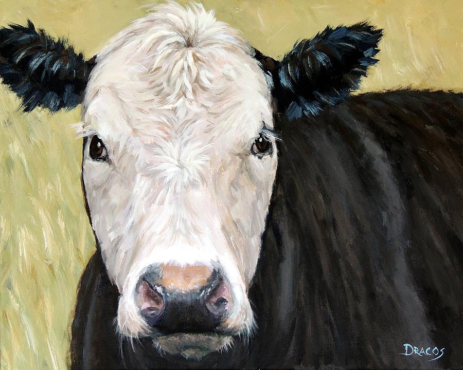 Black Angus Cow Steer White Face Painting By Dottie Dracos