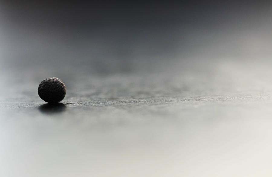 Black Ball Reflection Close Up Photograph by Prakash Ghai