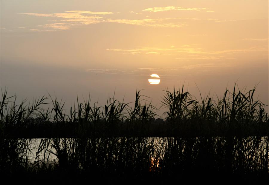 Black Bayou Sunset Photograph by John Glass