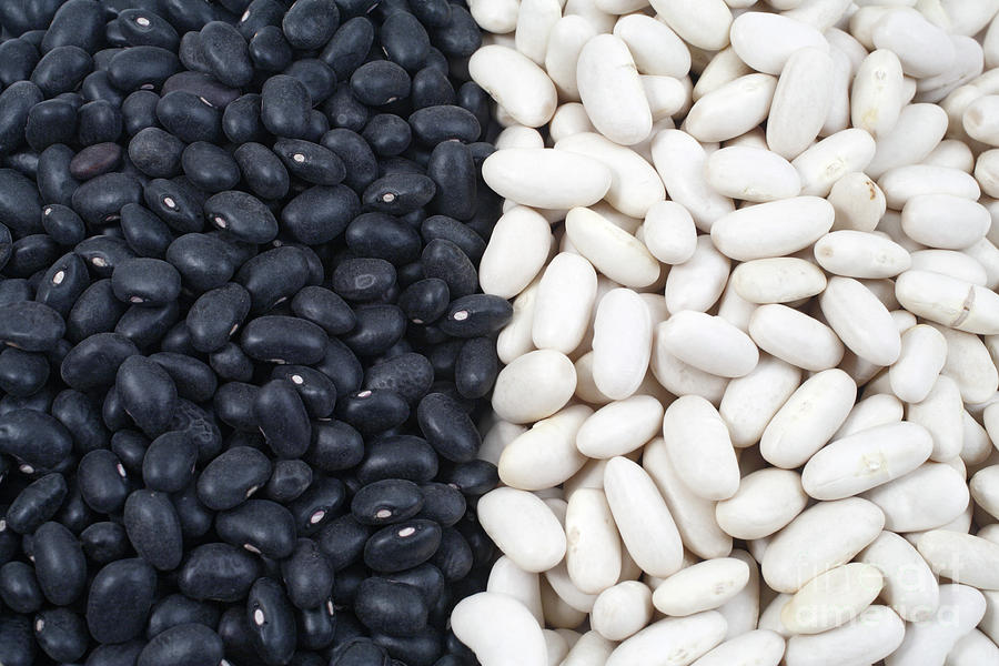 Black beans and white beans Photograph by Gaspar Avila