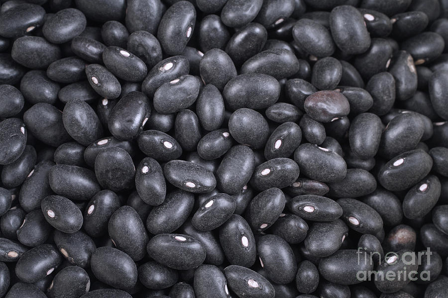 Black beans Photograph by Gaspar Avila