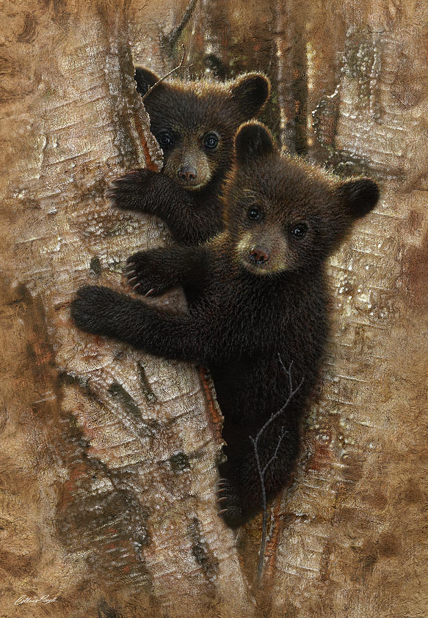 Black Bear Cubs - Curious Cubs Painting by Collin Bogle
