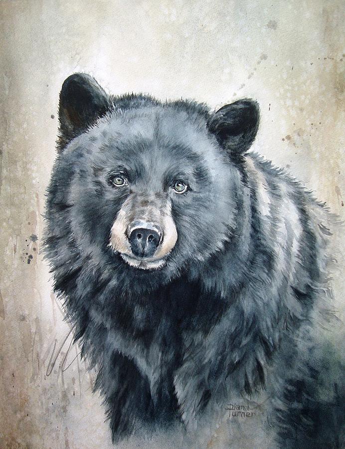 Black Bear Painting By Diana Turner