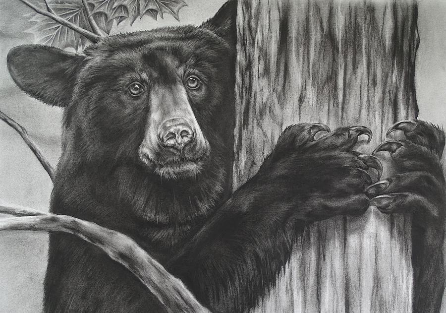 Black Bear Drawing by Jennifer ZulkerEastman Pixels
