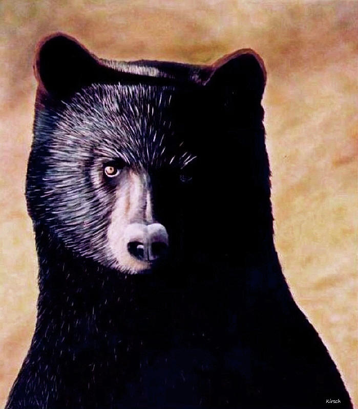 Black Bear Painting by Kenneth M Kirsch
