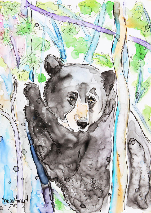 Bear Painting - Black Bear on The Bruce by Shaina Stinard