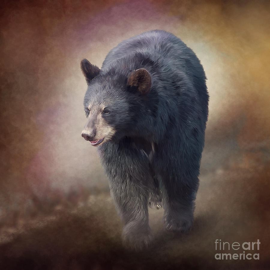 Black Bear Portrait Watercolor Painting Digital Art By Svetlana Foote
