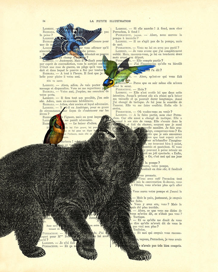 Bird Digital Art - Black bear with colorful tropical birds by Madame Memento
