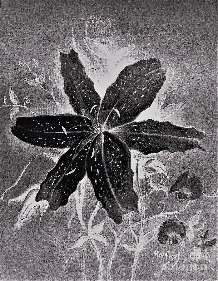 Flower Painting - Black Beauty by Hazel Holland