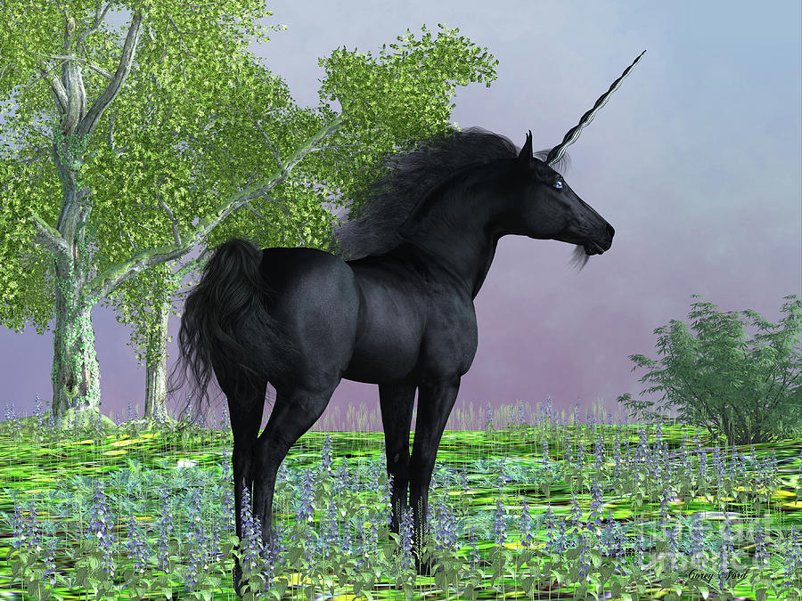 Black Beauty Unicorn Digital Art by Corey Ford