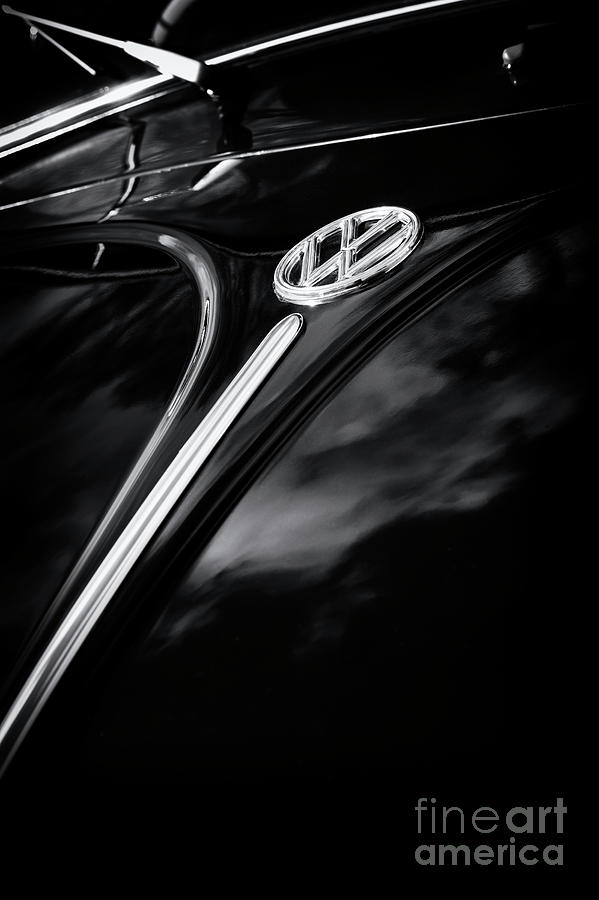 Black Beetle Abstract Photograph by Tim Gainey