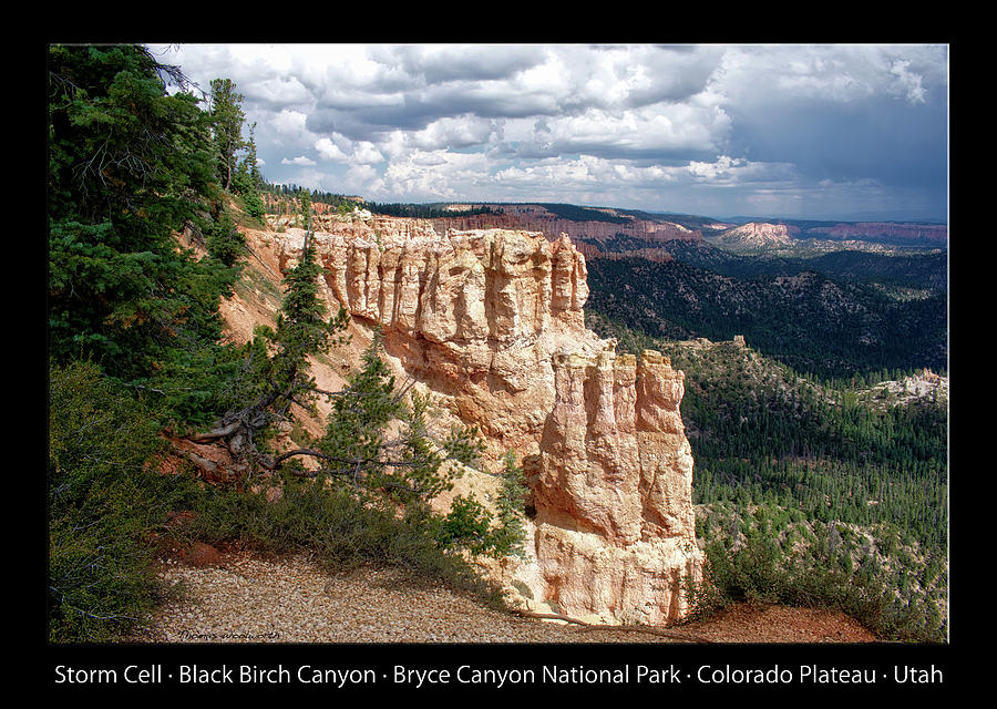 Black Birch Canyon Bryce Canyon Utah 01 Text Black Photograph by Thomas Woolworth