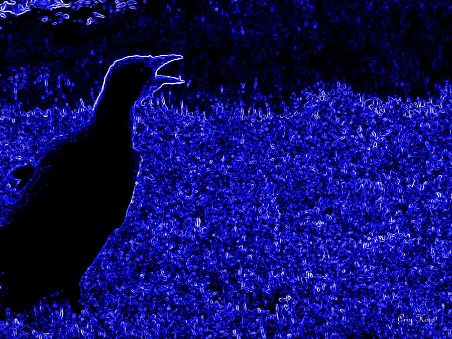 Black Bird in Blue Field Photograph by Amy Hosp