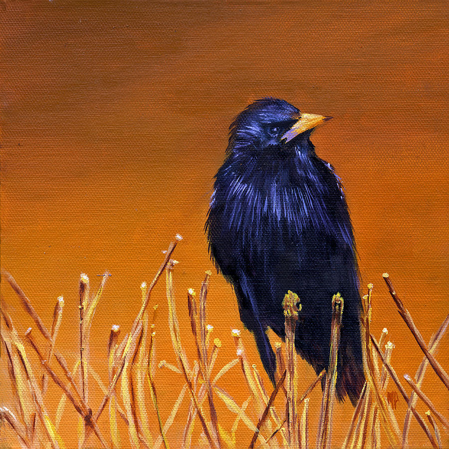 Black Bird Painting by Marina Petro