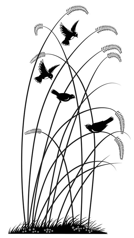 Bird Digital Art - Black Birds by Nato  Gomes