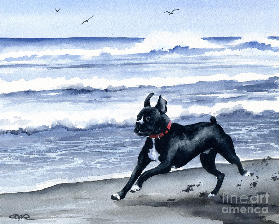 Black Painting - Black Boxer At The Beach by David Rogers