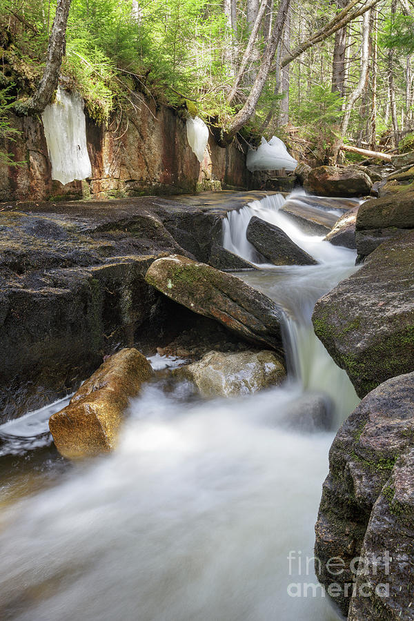 Nature Photograph - Black Brook - Carroll, New Hampshire by Erin Paul Donovan
