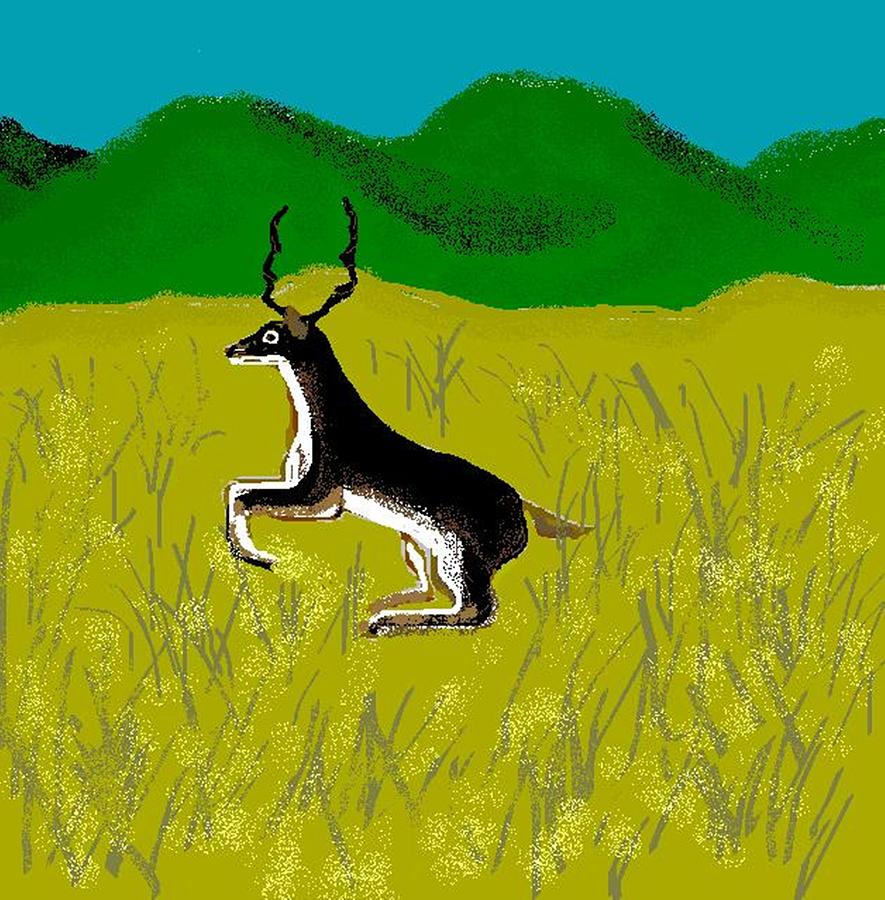 Deer Digital Art - Black Buck by Carole Boyd