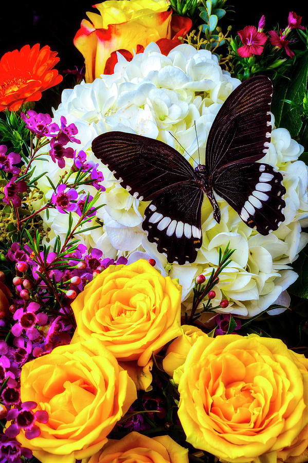 Black Butterfly On Spring Bouquet Photograph by Garry Gay
