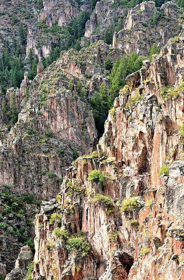 Black Canyon of the Gunnison    Photograph by Amy McDaniel