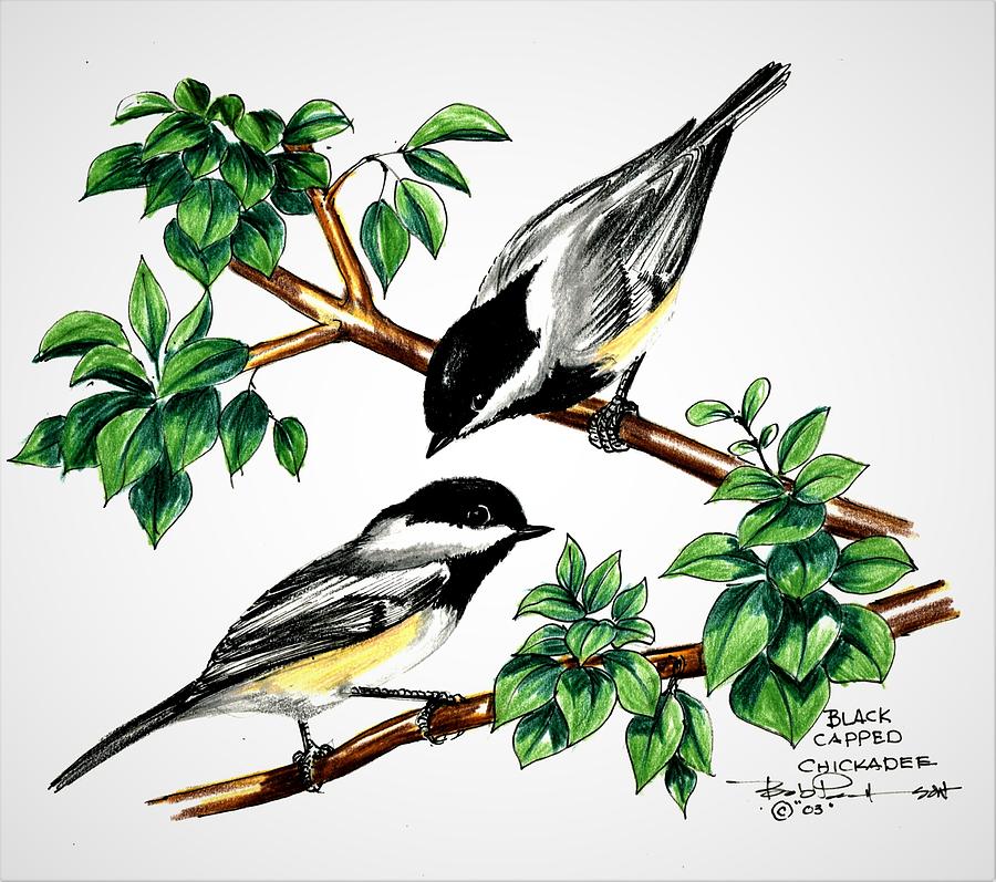 Black Cap Chickadees Painting By Bob Patterson - Fine Art America