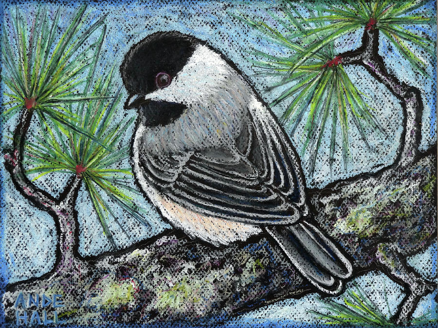 Black Capped Chickadee Painting by Ande Hall