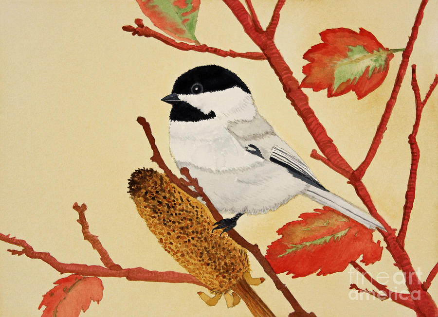 Black Capped Chickadee Painting by Norma Appleton