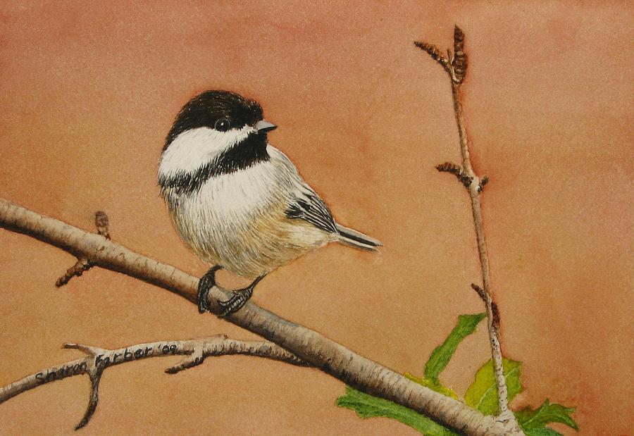 Black Capped Chickadee Painting By Sharon Farber