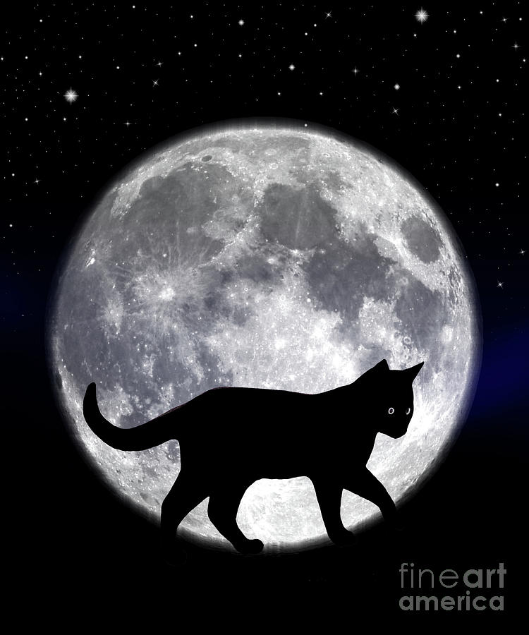 Blue_mooncat