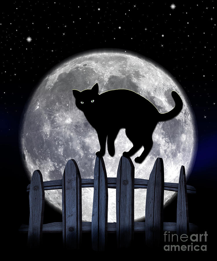 Black Cat And Full Moon 3 Photograph by Nina Ficur Feenan